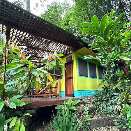 Palmeras Del Rio Hotel La Vina Ngoại thất bức ảnh