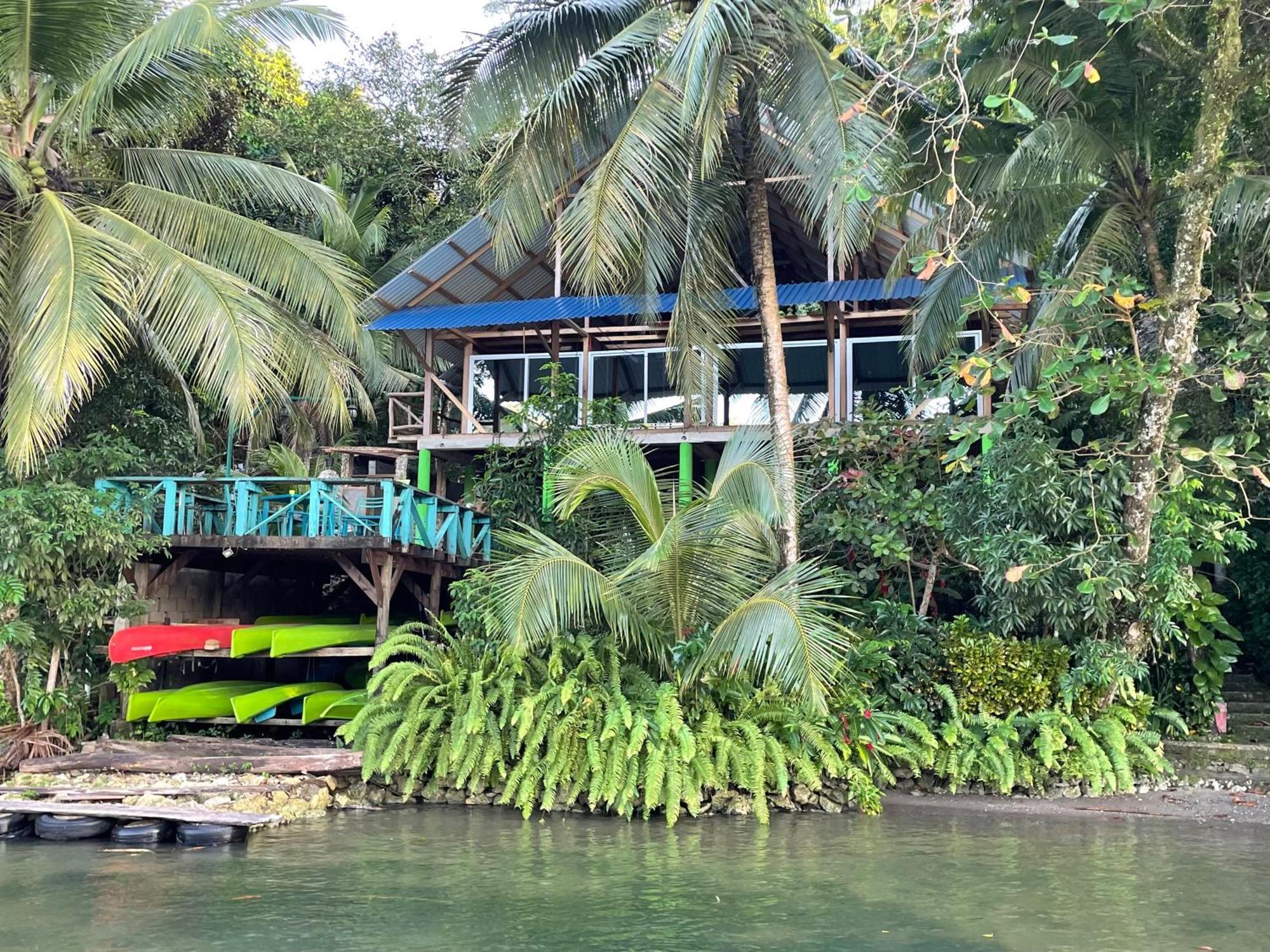 Palmeras Del Rio Hotel La Vina Ngoại thất bức ảnh