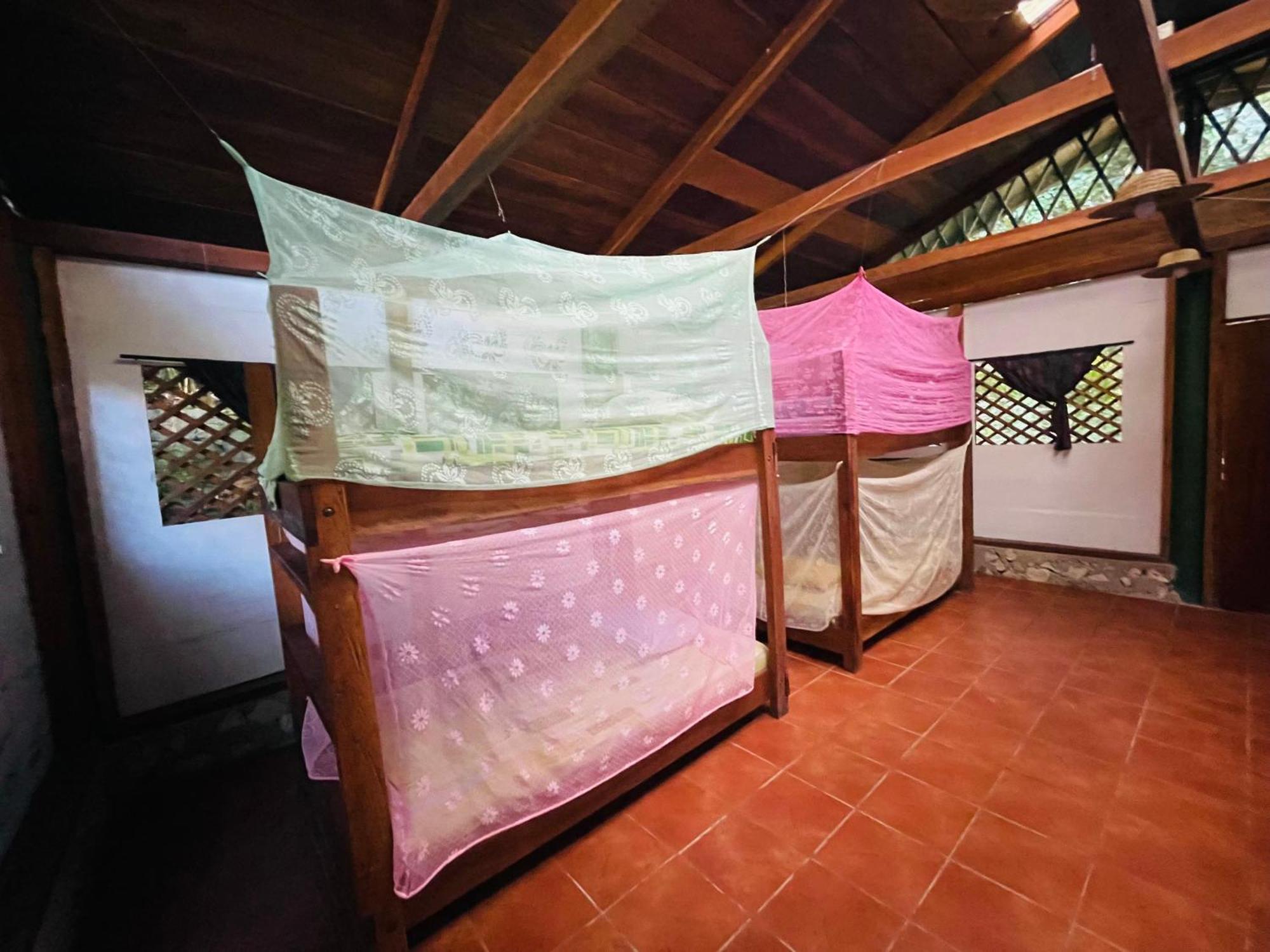 Palmeras Del Rio Hotel La Vina Ngoại thất bức ảnh