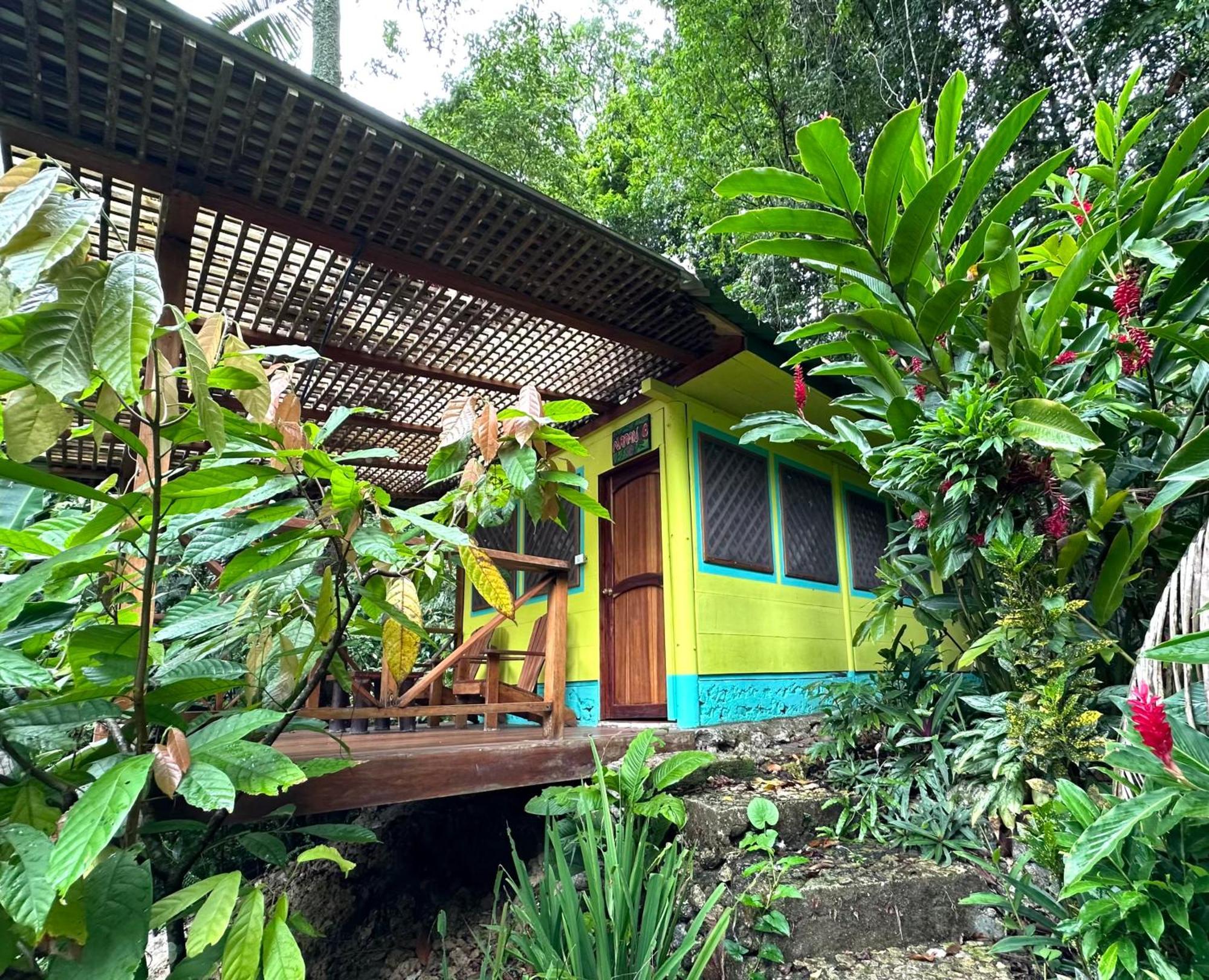 Palmeras Del Rio Hotel La Vina Ngoại thất bức ảnh