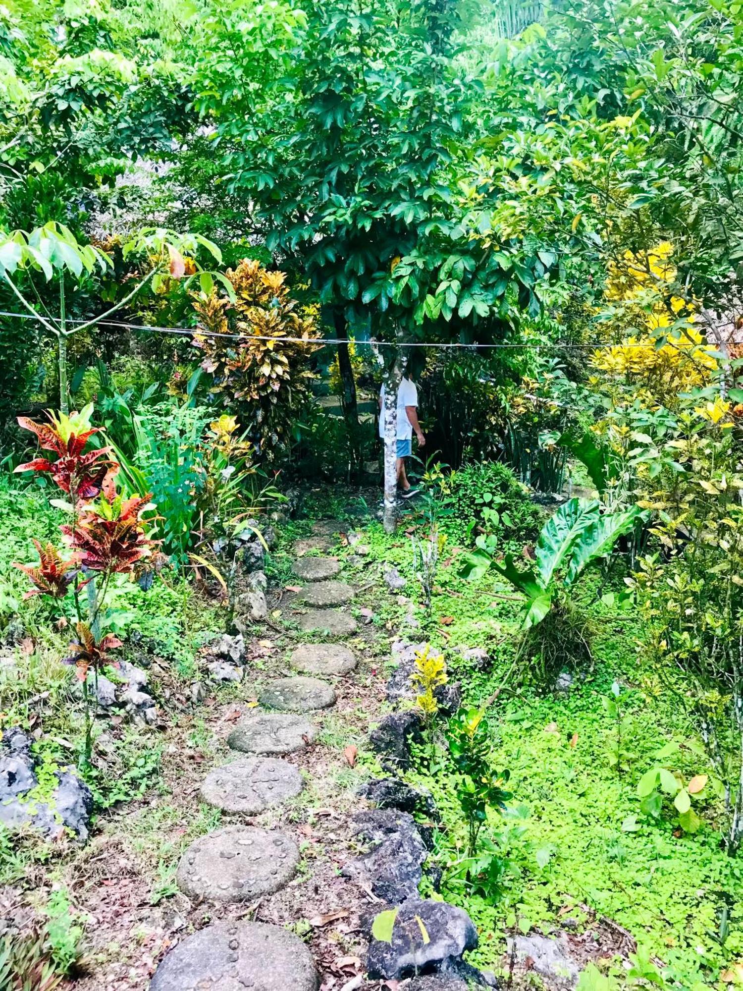 Palmeras Del Rio Hotel La Vina Ngoại thất bức ảnh