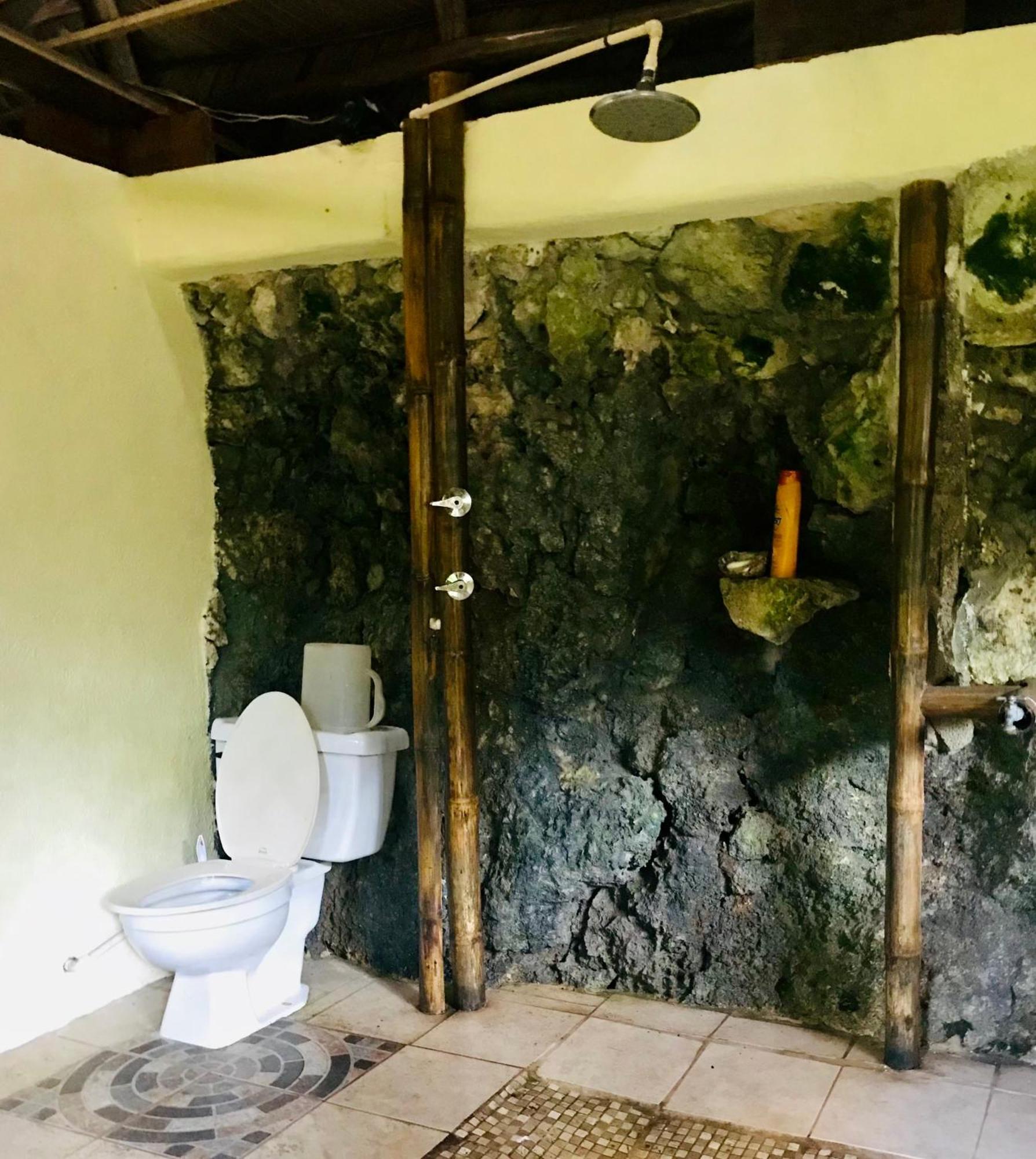 Palmeras Del Rio Hotel La Vina Ngoại thất bức ảnh
