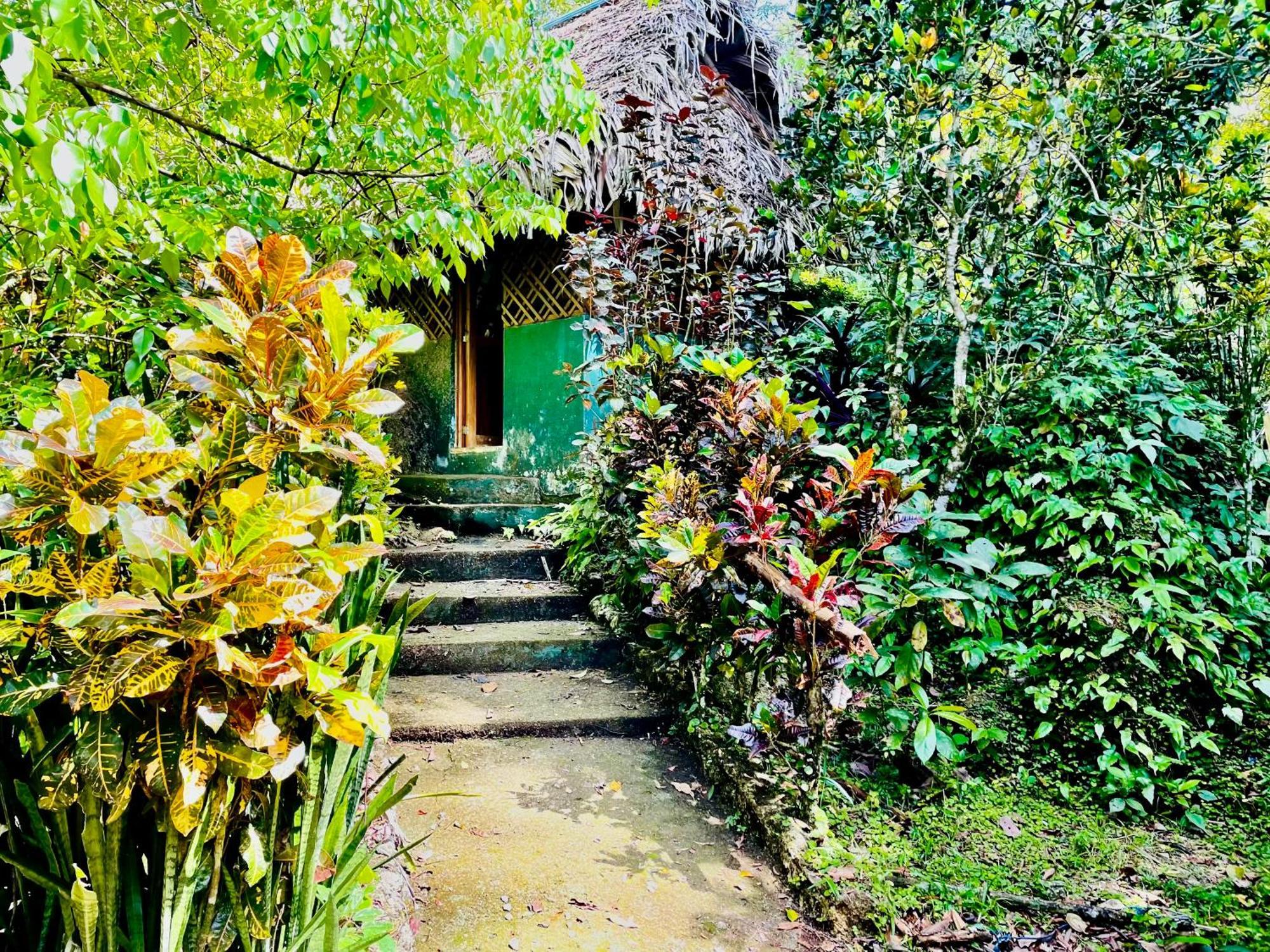 Palmeras Del Rio Hotel La Vina Ngoại thất bức ảnh