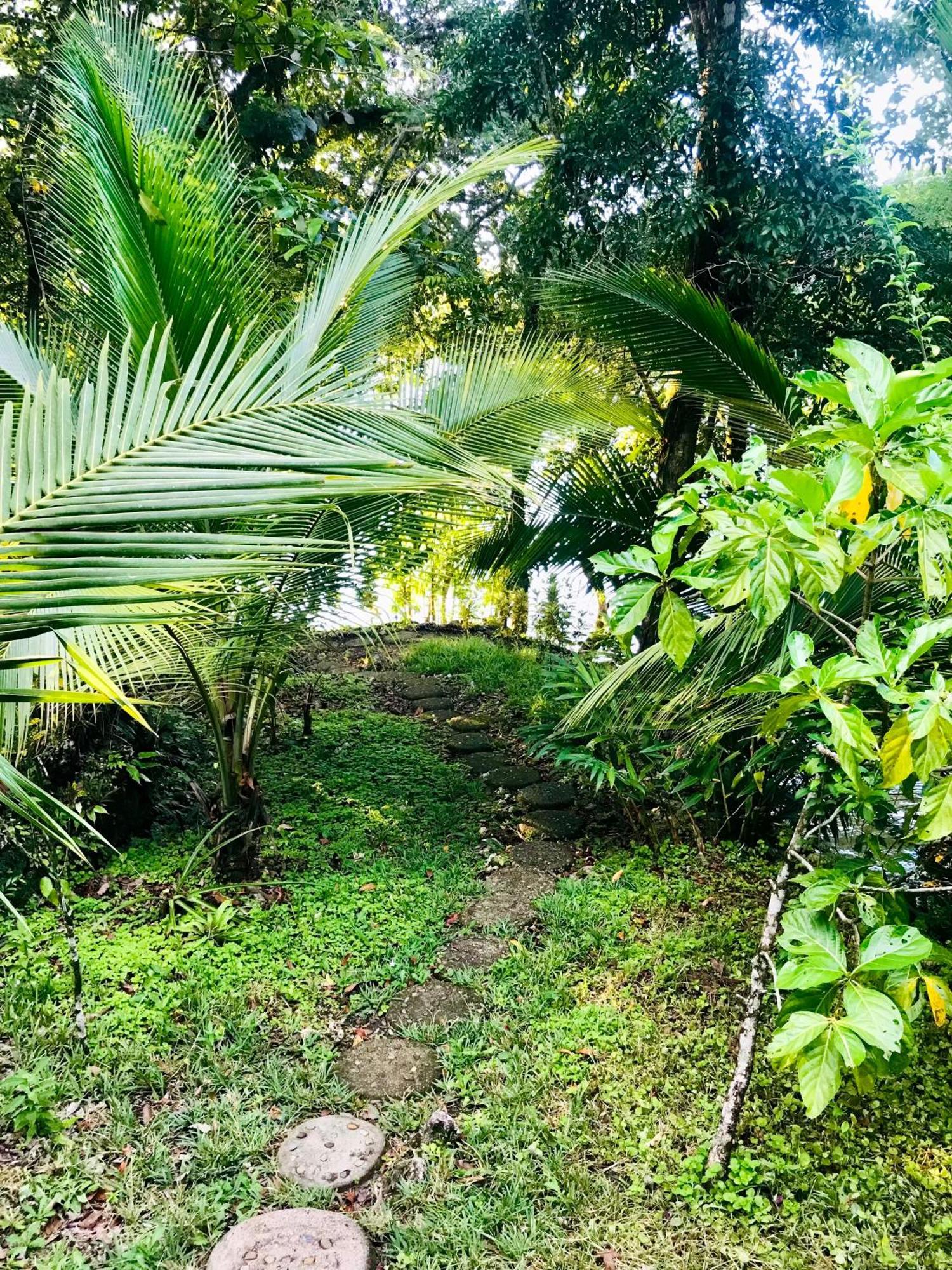 Palmeras Del Rio Hotel La Vina Ngoại thất bức ảnh