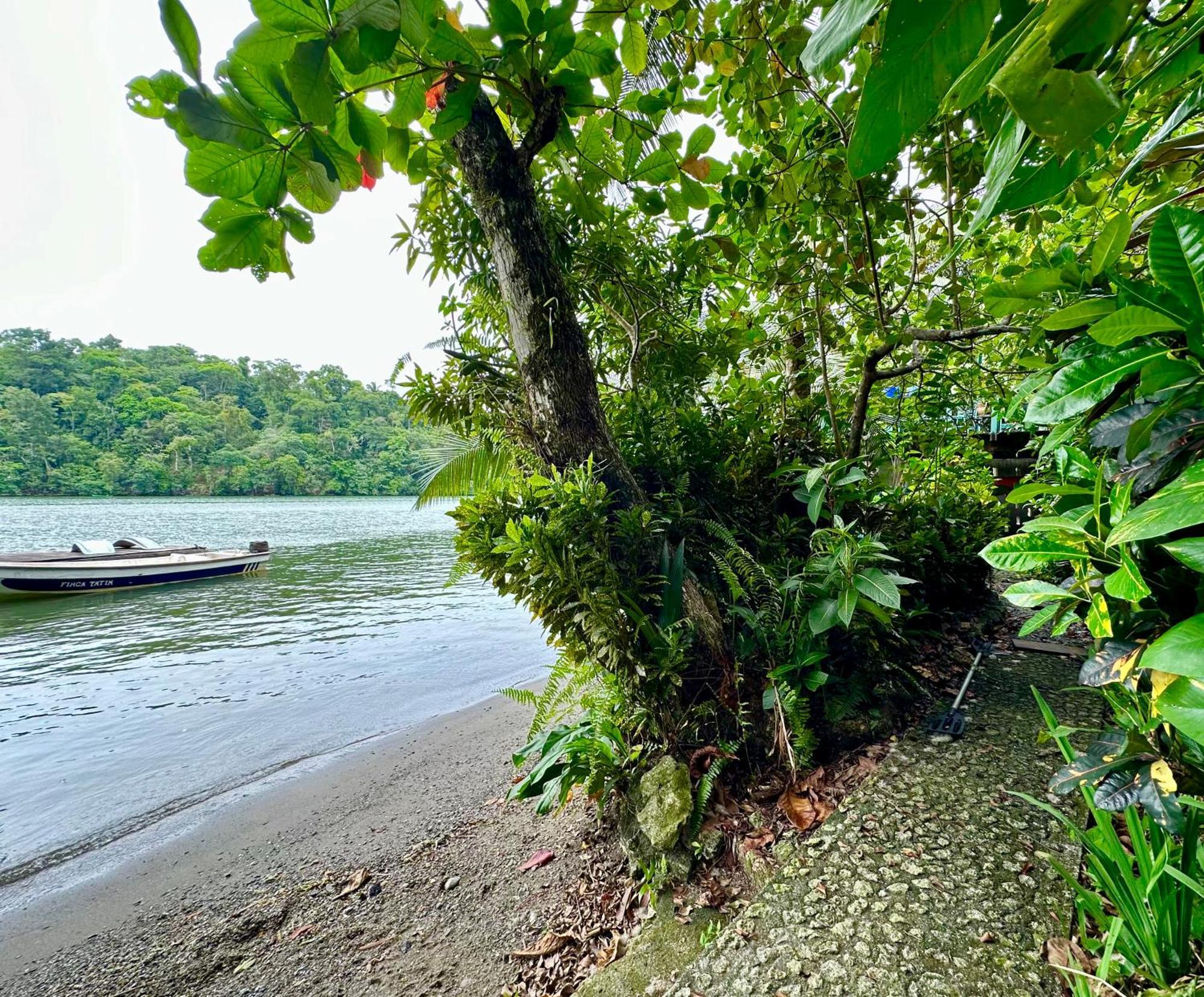 Palmeras Del Rio Hotel La Vina Ngoại thất bức ảnh