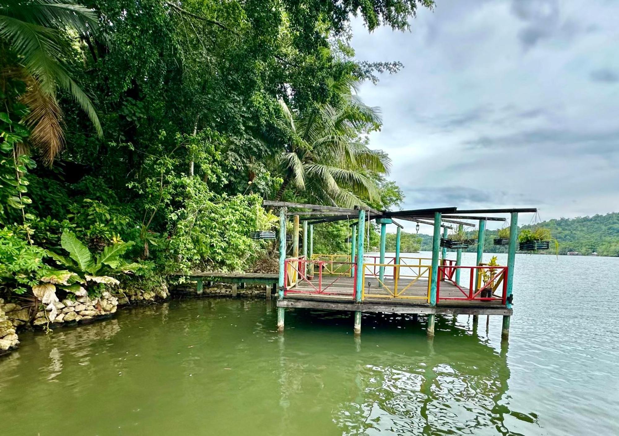 Palmeras Del Rio Hotel La Vina Ngoại thất bức ảnh