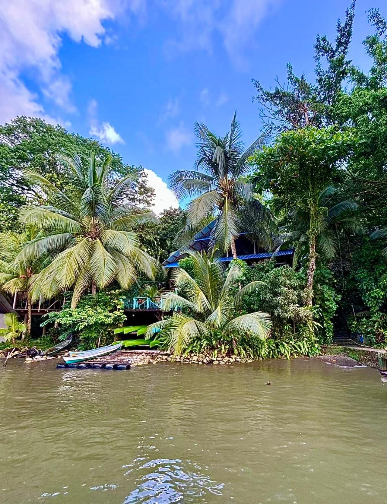 Palmeras Del Rio Hotel La Vina Ngoại thất bức ảnh