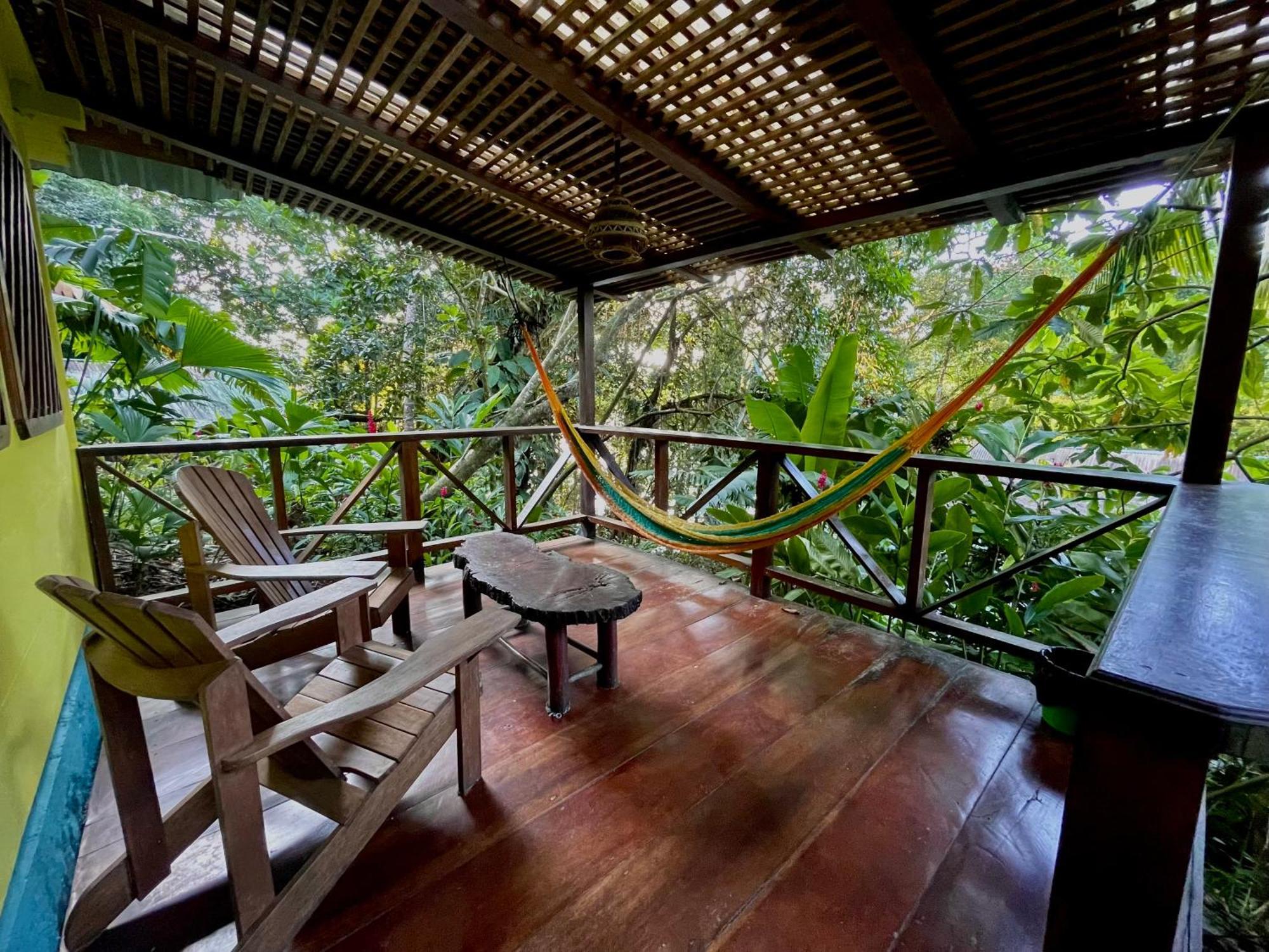 Palmeras Del Rio Hotel La Vina Ngoại thất bức ảnh