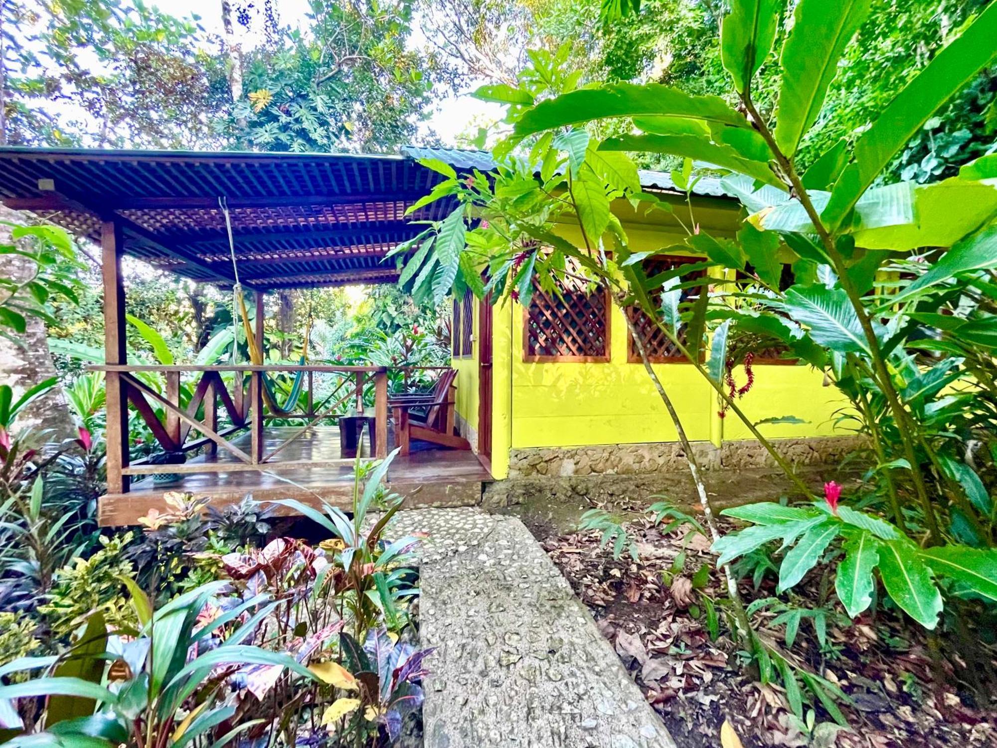 Palmeras Del Rio Hotel La Vina Ngoại thất bức ảnh