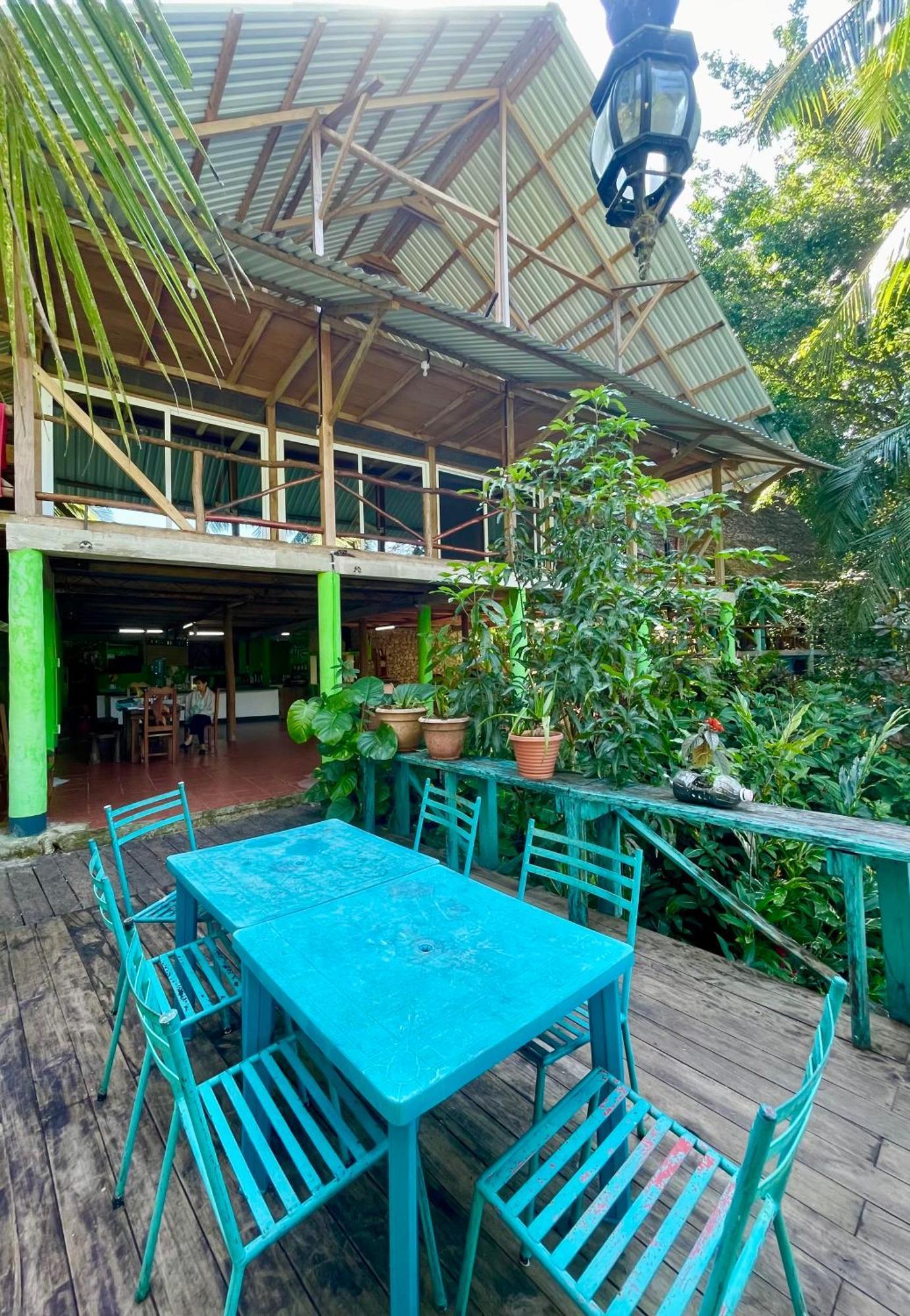 Palmeras Del Rio Hotel La Vina Ngoại thất bức ảnh